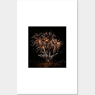 Palm Tree Fireworks Posters and Art